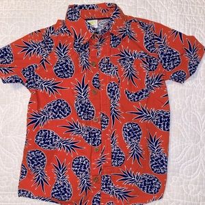 Toddler boy 4T button down shirt